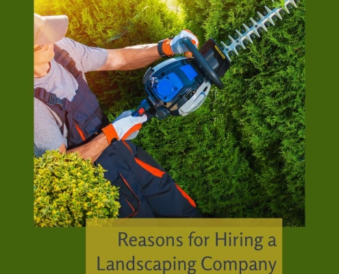Reasons for Hiring a Landscaping Company