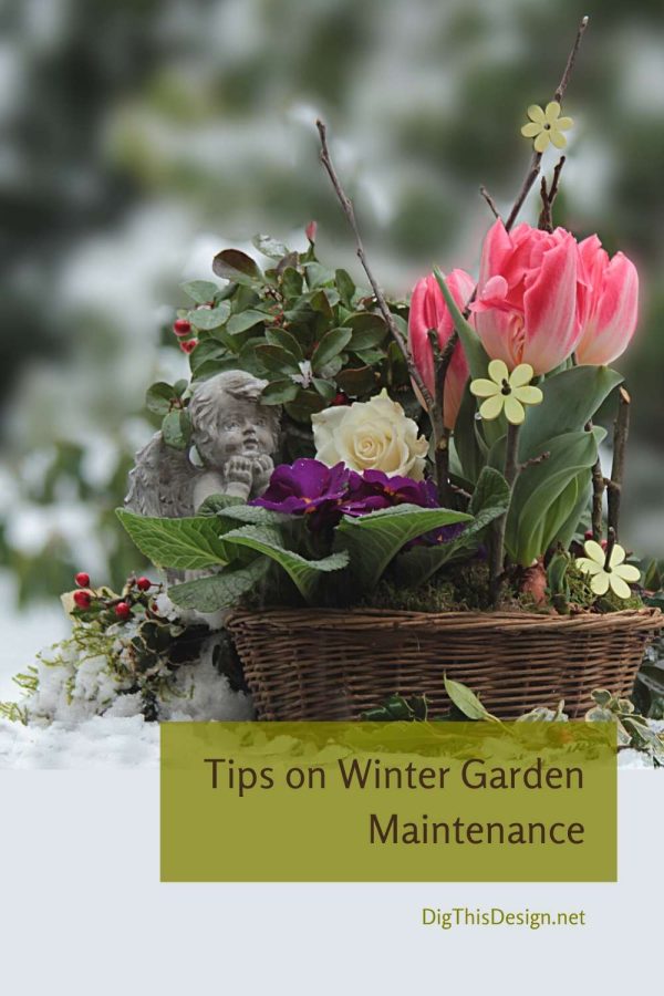 Tips on Winter Garden Maintenance