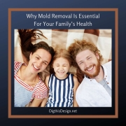 Why Mold Removal Is Essential For Your Family’s Health