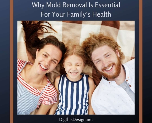 Why Mold Removal Is Essential For Your Family’s Health