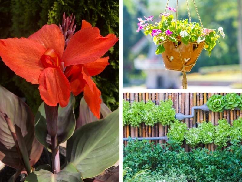 3 Easy Tips for a More Interesting Garden