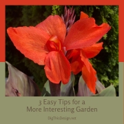 3 Easy Tips for a More Interesting Garden