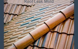 Your Quick Guide to Roof Leak Mold