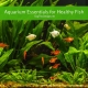 Aquarium Essentials for Healthy Fish