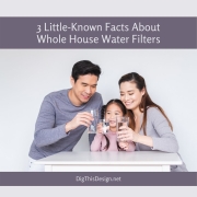 3 Little-Known Facts About Whole House Water Filters
