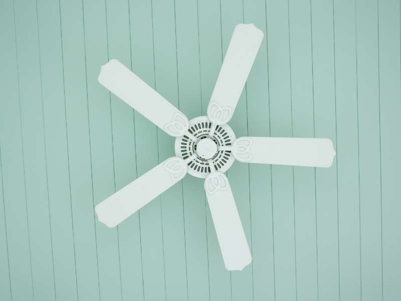 Functional Aesthetics 5 Tips For Matching Ceiling Fans With Your Home