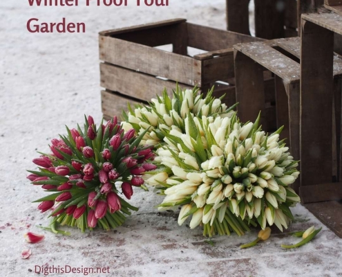 Winter Proof Your Garden