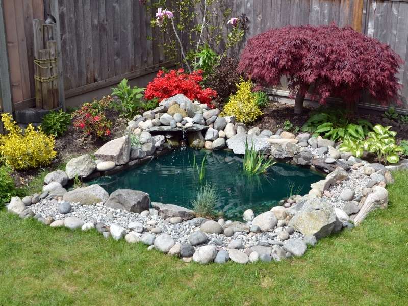 6 Affordable DIY Outdoor Decor Ideas for Your Backyard - Build a Stone Pond