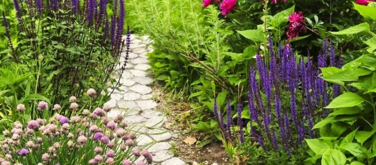 6 Affordable DIY Outdoor Decor Ideas for Your Backyard - Build a Stone Pathway