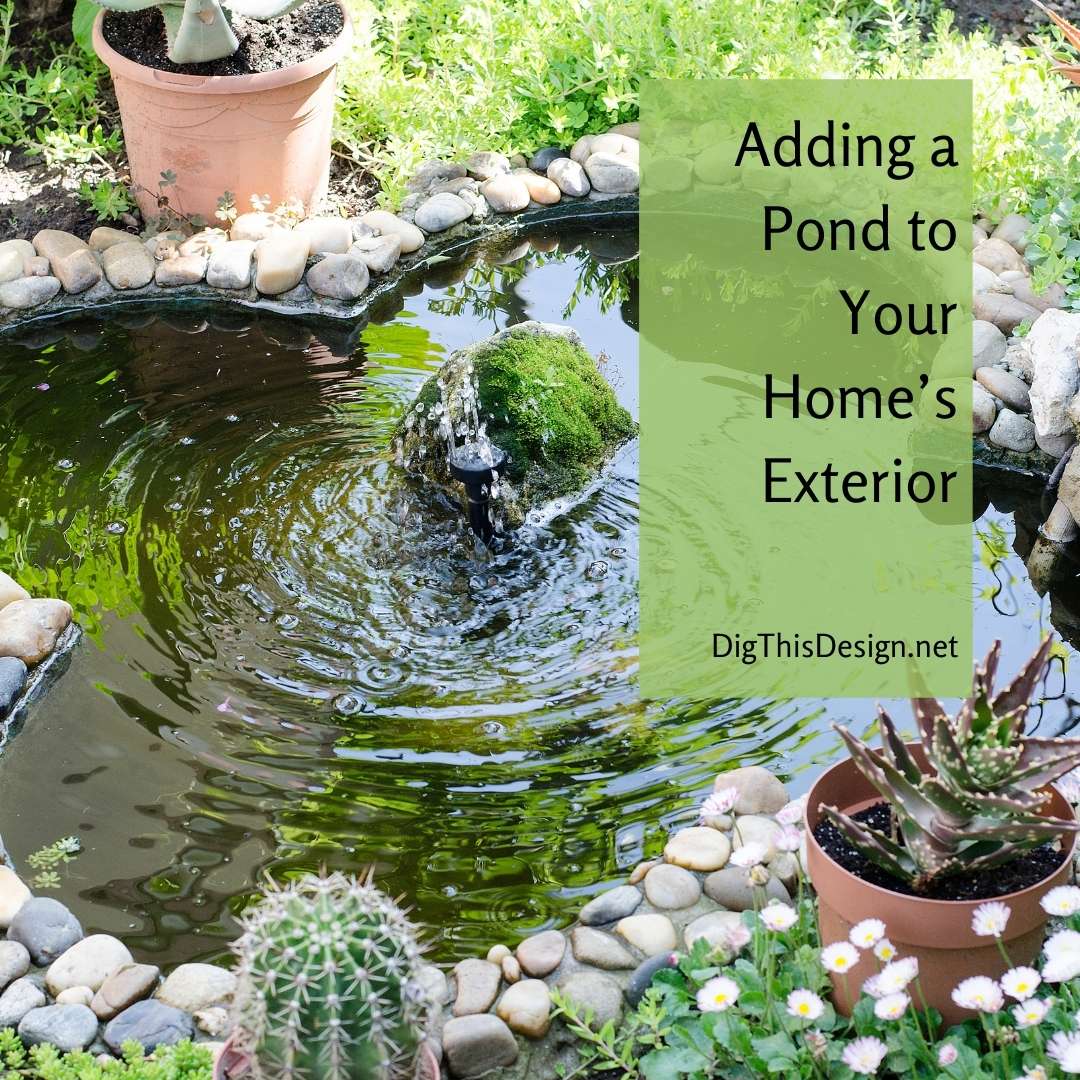 Adding a Pond to Your Home’s Exterior