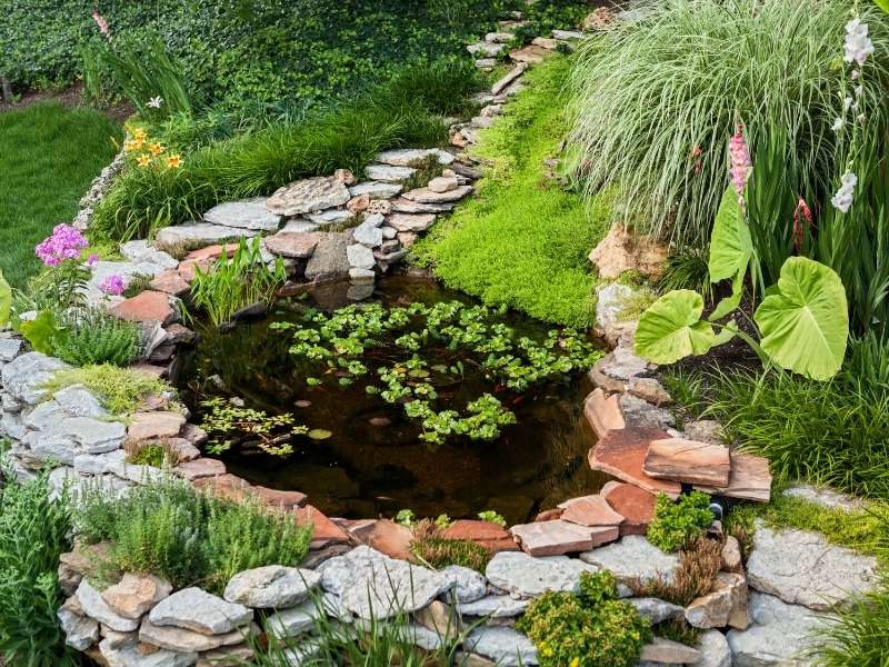 Adding a Pond to Your Home’s Exterior