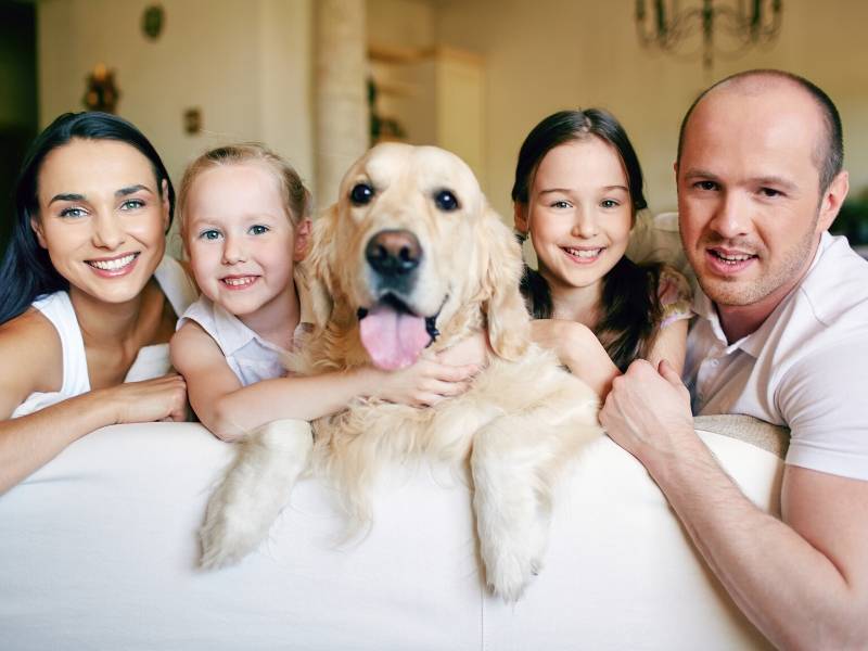 Get a family pet to add safety