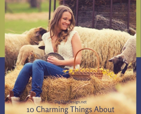 Living a Farm Life