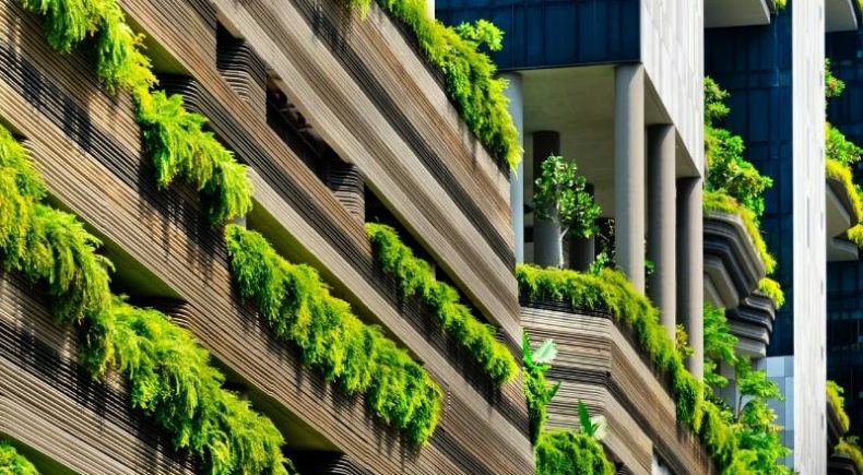 Biophilic Design in Architecture