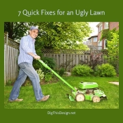 7 Quick Fixes for an Ugly Lawn