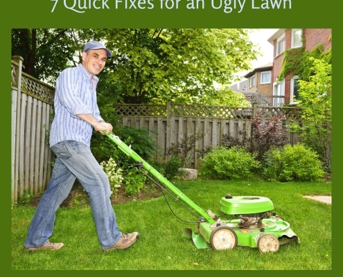 7 Quick Fixes for an Ugly Lawn