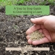 A Step by Step Guide to Overseeding a Lawn