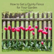 How to Get a Quirky Fence for Your Garden