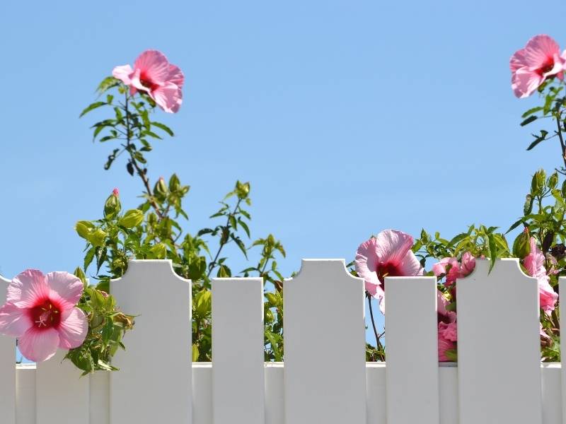 DIY Fence for Your Garden • Step by Step