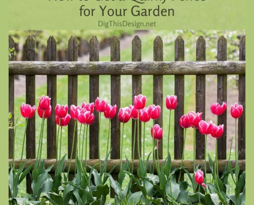How to Get a Quirky Fence for Your Garden