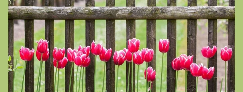 How to Get a Quirky Fence for Your Garden