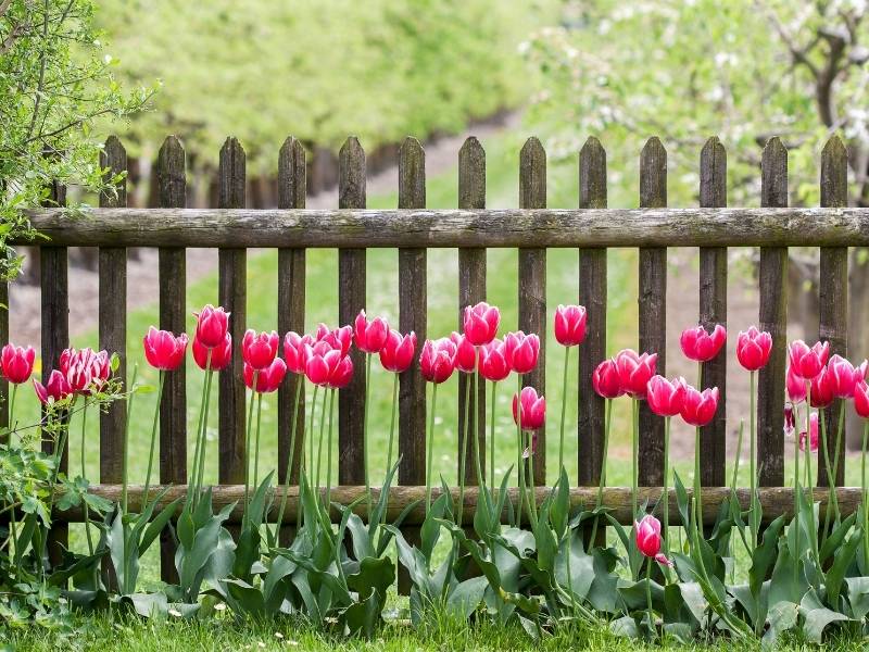 How to Get a Quirky Fence for Your Garden