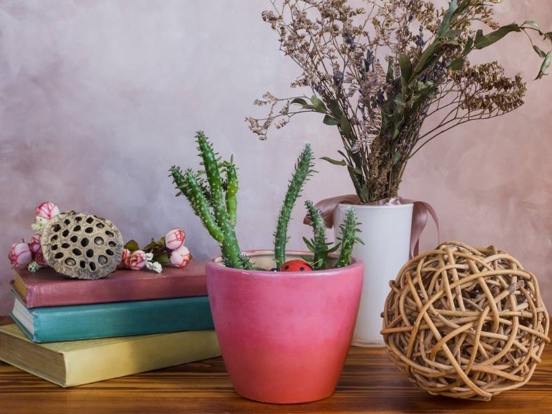 Dig These 3 Spring Decorating Inspirations