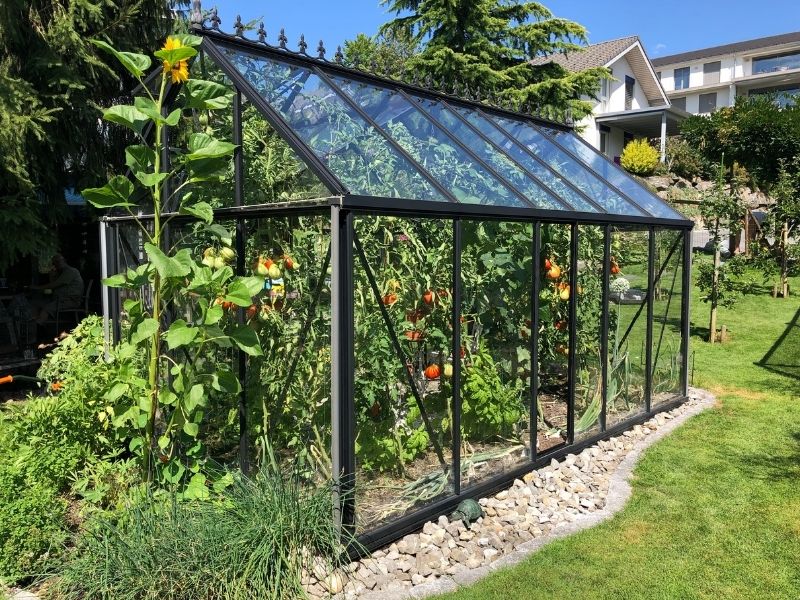 How to Choose a Greenhouse Kit