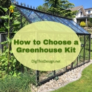 Greenhouses are great because they enable you to grow plants all year round. But do you know that you can purchase a greenhouse kit?
