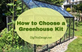 Greenhouses are great because they enable you to grow plants all year round. But do you know that you can purchase a greenhouse kit?