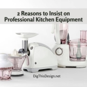 2 Reasons to Insist on Professional Kitchen Equipment