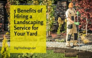 5 Benefits of Hiring a Landscaping Service for Your Yard