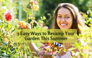 5 Easy Ways to Revamp Your Garden This Summer
