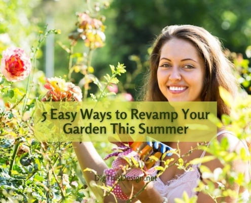 5 Easy Ways to Revamp Your Garden This Summer