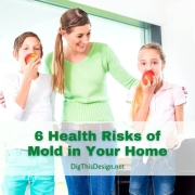 Mold in Your Home - happy and healthy mother, daughter, son.