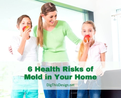 Mold in Your Home - happy and healthy mother, daughter, son.