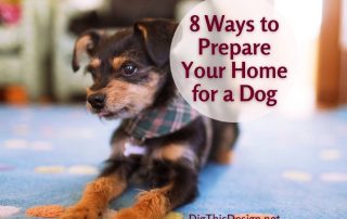 8 ways to prepare your home for a dog