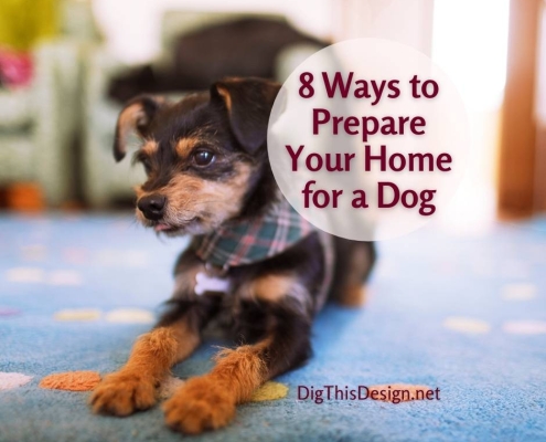 8 ways to prepare your home for a dog