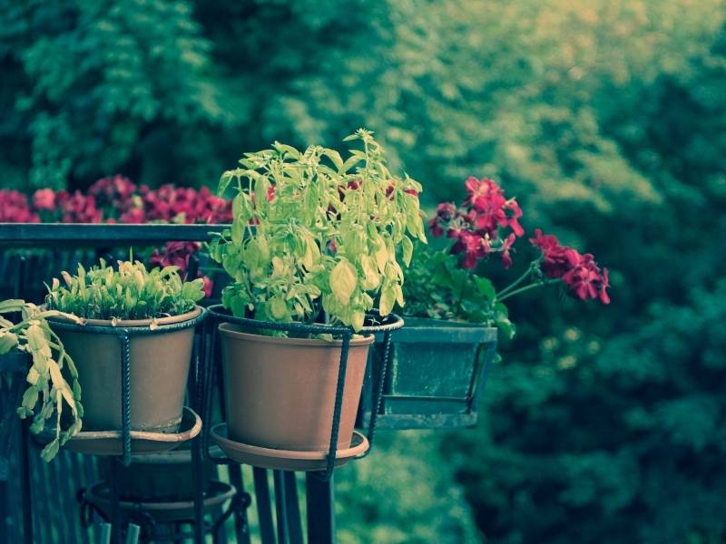 9 Tips to Improve Your Outdoor Space When You Rent