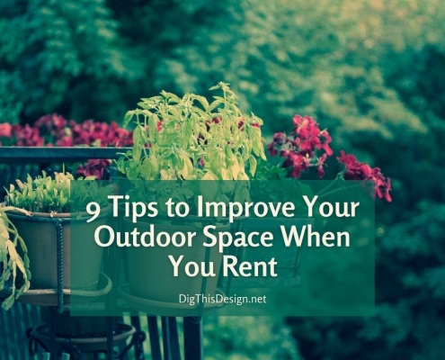 9 Tips to Improve Your Outdoor Space When You Rent