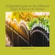 A Detailed Guide on the Different Types of Fences for Homes