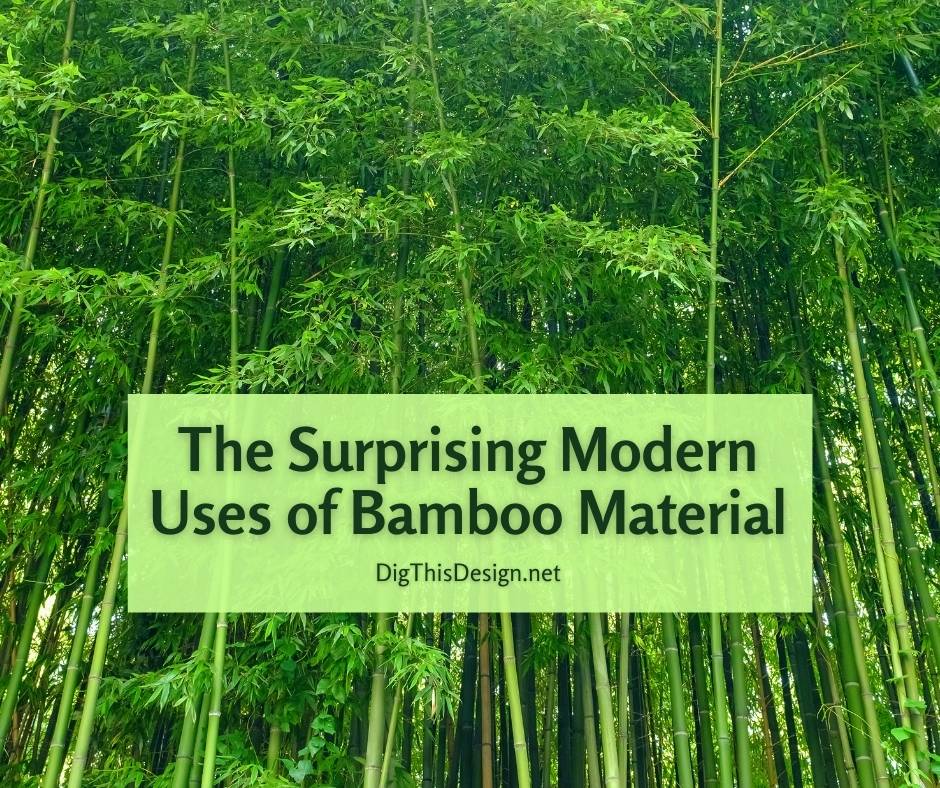 The Surprising Modern Uses of Bamboo Material