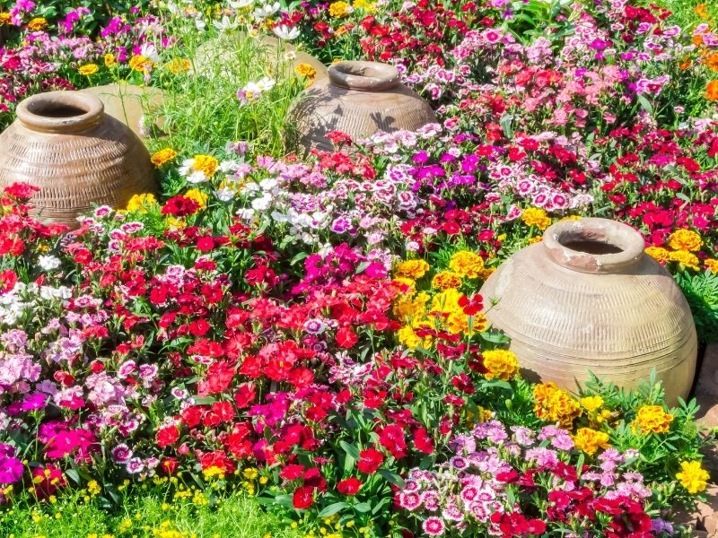 3 Tips for a Beautiful Yard and Garden Free of Weeds