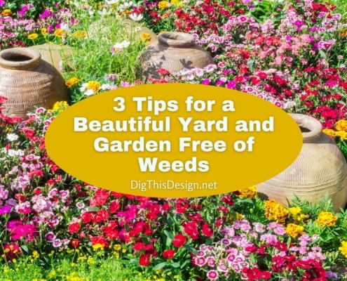 3 Tips for a Beautiful Yard and Garden Free of Weeds