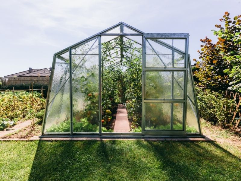 6 Tips To Create The Best Greenhouse Design