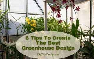 6 Tips To Create The Best Greenhouse Design