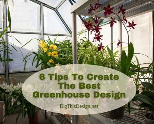 6 Tips To Create The Best Greenhouse Design