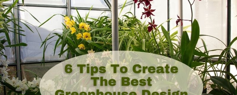 6 Tips To Create The Best Greenhouse Design