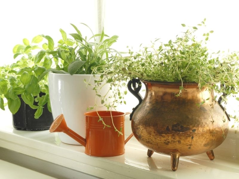 4 Kitchen Design Hacks To Support A Healthy Lifestyle - herb garden in window sill.