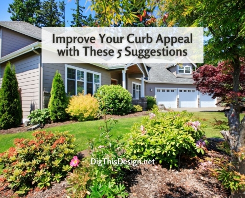 Improve Your Curb Appeal with These 5 Suggestions